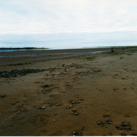 Anti-glider posts, mouth of the Tyne.jpg